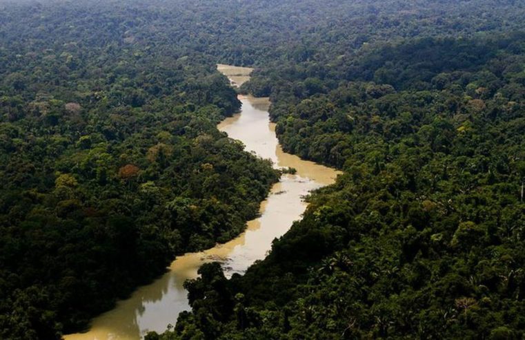 Marinha e Polícia Federal buscam jornalista e indigenista da Funai, Dom Phillips e Bruno Pereira estão desaparecidos no Amazonas há 48h
