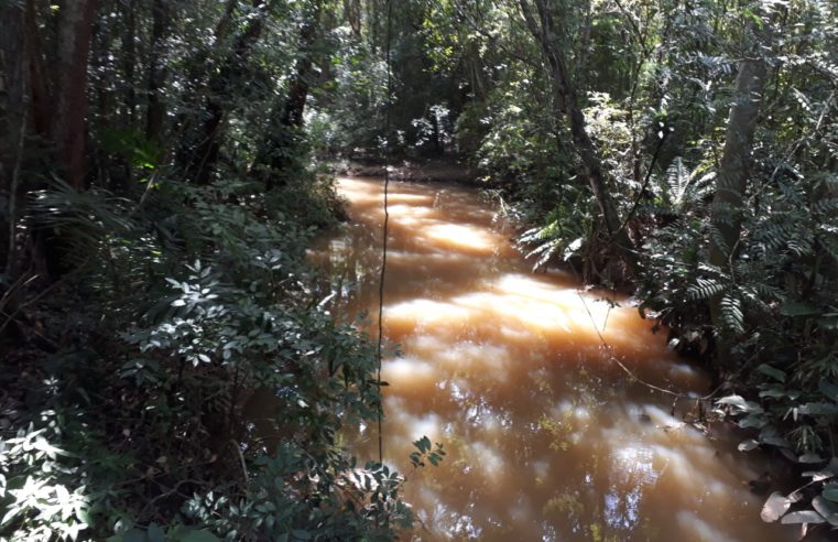 Mapeamento de nascentes do município é atualizado pela Diretoria de Meio Ambiente de Criciúma