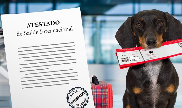 Aumenta número de pedidos de documentos para viagens com animais