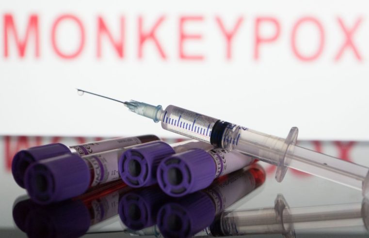Anvisa aprova importação de vacina contra varíola dos macacos