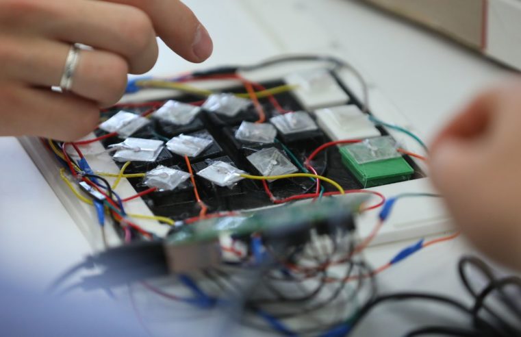 Universidades atestam segurança e auditabilidade das urnas eletrônicas