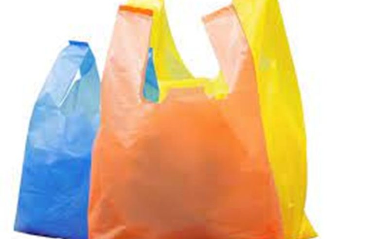 STF valida lei municipal que proibiu uso de sacolas plásticas