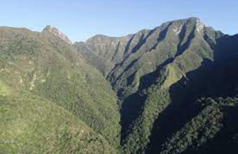 COP 27: SC é o quarto estado do Brasil que mais reduziu o desmatamento