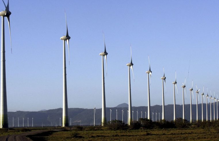 Começa neste domingo, no Egito, a COP 27, Cúpula do Clima da ONU