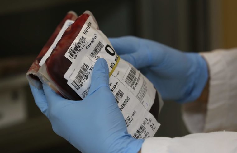 Hemosc comemora Dia Nacional do Doador de Sangue com programação em todo o Estado