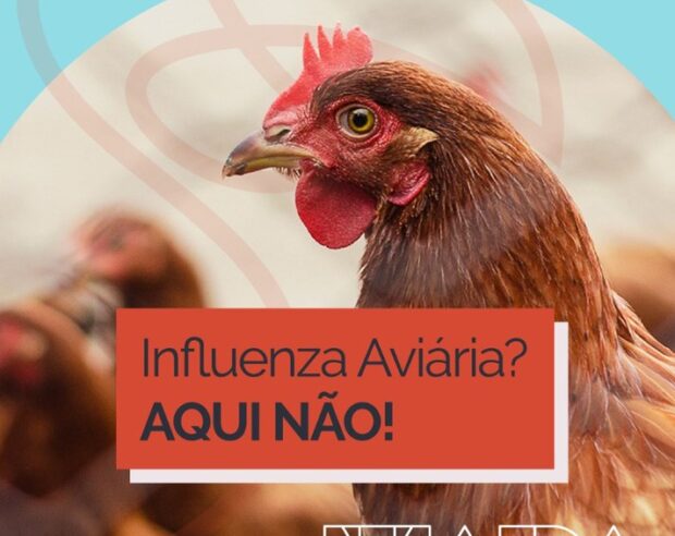 Lançada a campanha “Influenza Aviária? Aqui não!”