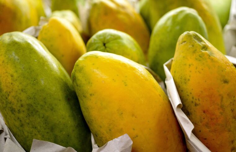 Governo prorroga prazo para cadastro na Agricultura Familiar