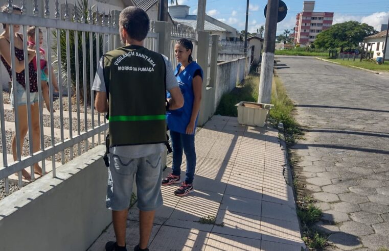 Vigilância Sanitária de Morro da Fumaça, alerta moradores sobre perigo do caramujo africano