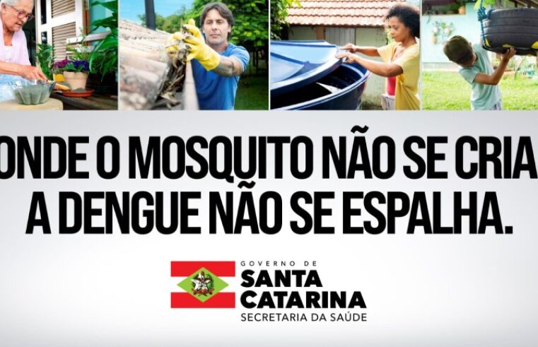 Dengue em SC: Saúde alerta sobre perfil dos casos confirmados da doença