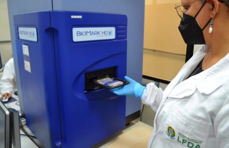 Operação Semana Santa fiscaliza pescado em 23 estados e no DF