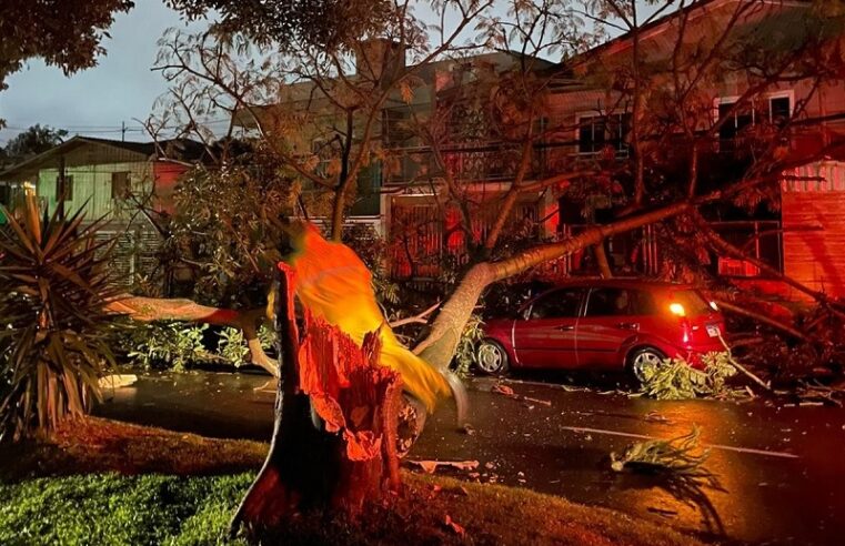 Defesa Civil atende mais de 50 ocorrências nesta quinta-feira de chuva e vendavais em SC