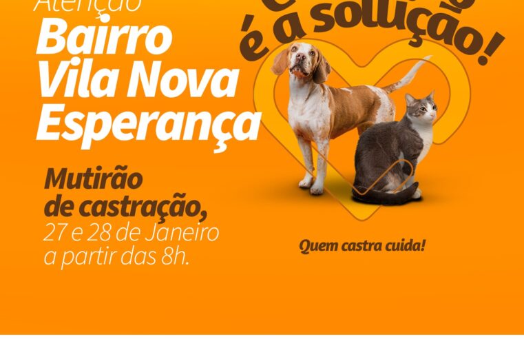 Castração é a Solução: primeiro mutirão de 2024 ocorre neste final de semana em Criciúma