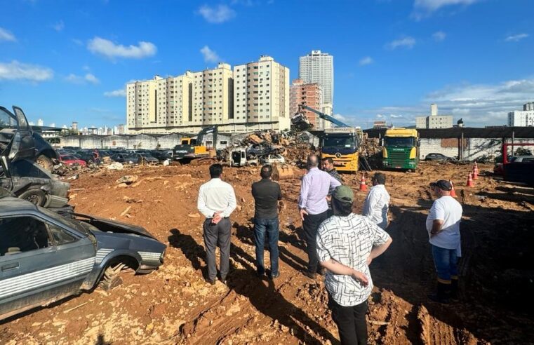 Dengue em SC: Detran realiza operação limpa pátios