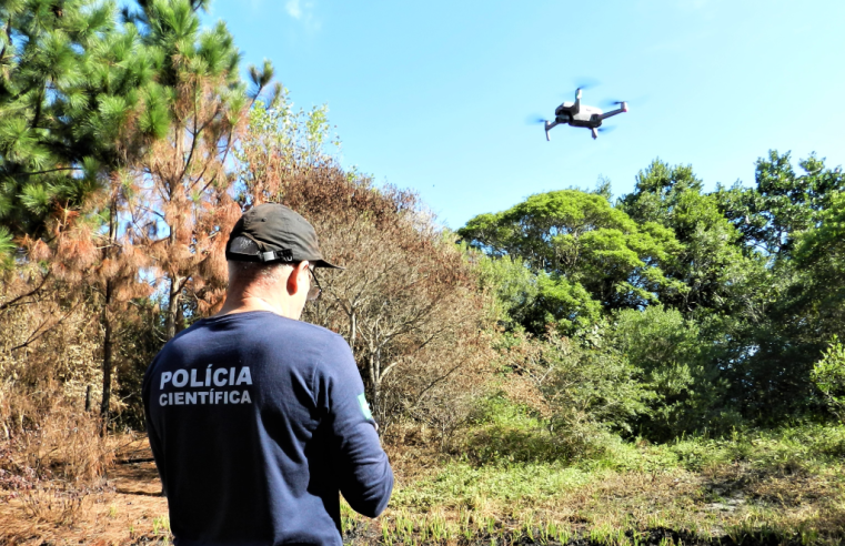 Polícia Científica de Santa Catarina atua na proteção da biodiversidade do estado