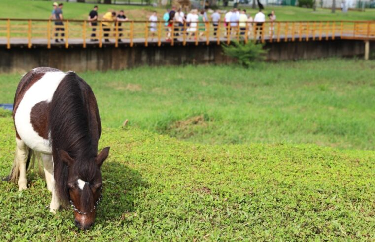 Fazendinha da Prefa é inaugurada em Criciúma
