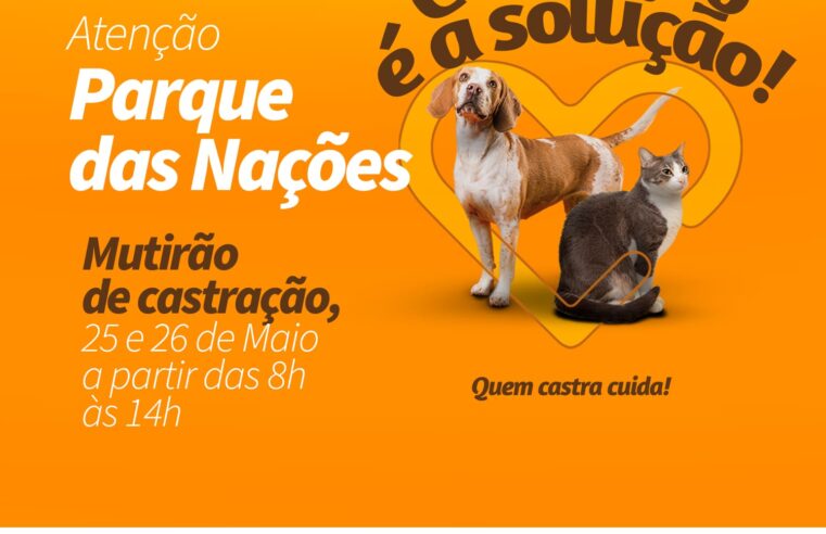 Castração é a Solução: mutirão da campanha ocorre no Parque das Nações