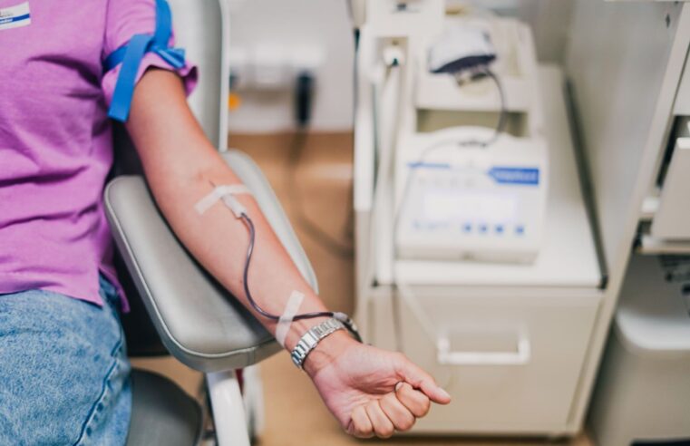 Solidariedade: Hemosc envia ao Rio Grande Sul 848 bolsas de hemocomponentes