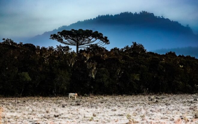 Inmet: frente fria deve provocar tempestade e geada no Sul do país