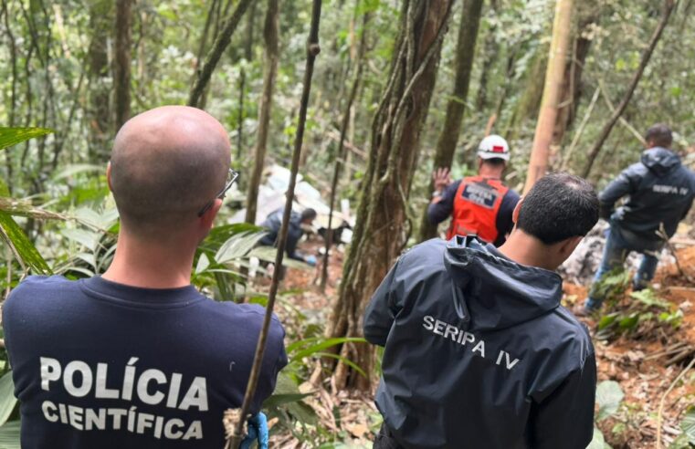 Polícia Científica trabalha na investigação das causas de acidente com aeronave em SC