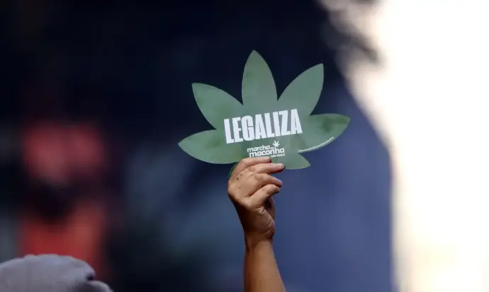 STF descriminaliza porte de maconha para uso pessoal