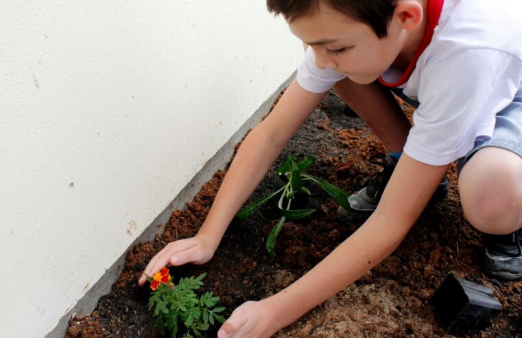 Semana do Meio Ambiente inicia nesta terça-feira em Criciúma