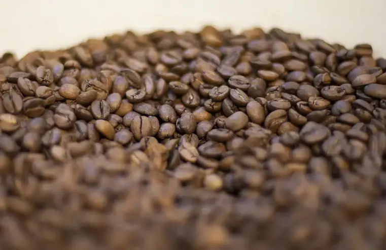 Agricultura manda recolher 16 marcas de cafés impróprios para consumo