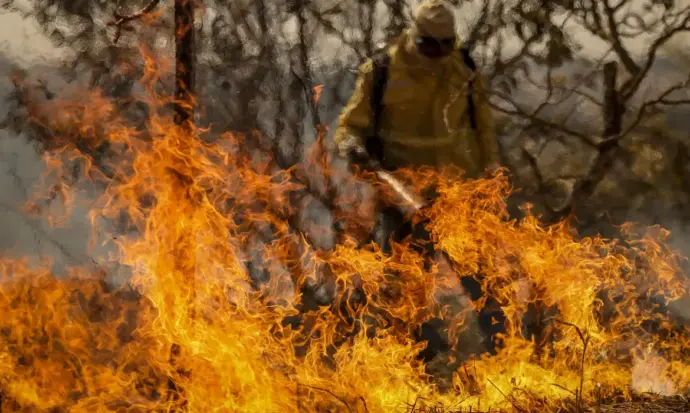 Defesa Civil diz que ação humana causou 99,9% dos incêndios em SP