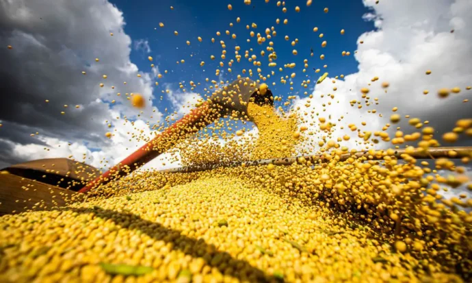 Safra recorde e queda do dólar devem reduzir o preço dos alimentos