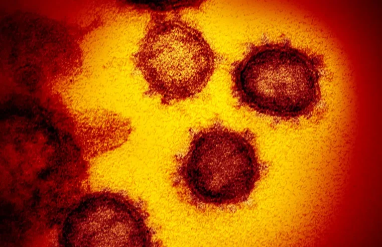 Brasil registra casos de nova variante da covid-19