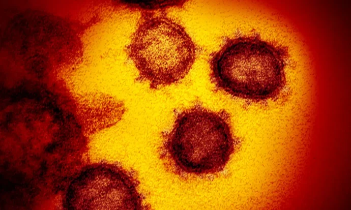Brasil registra casos de nova variante da covid-19