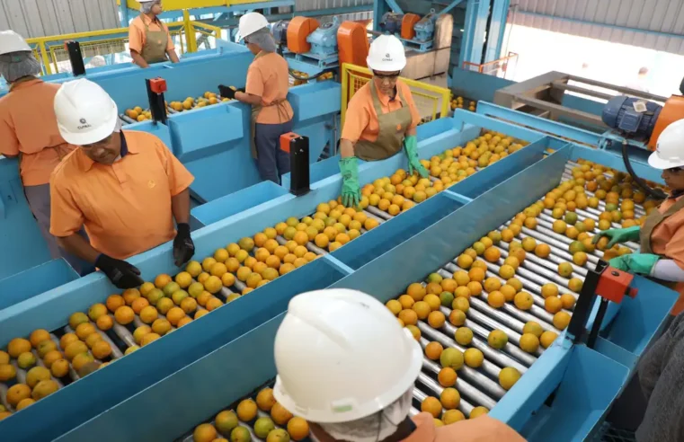 Confira a lista de quase 700 produtos que não serão taxados pelos EUA