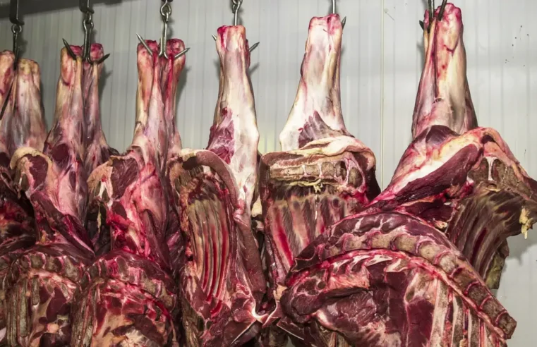 Brasil assume em 2025 a liderança mundial na produção de carne bovina