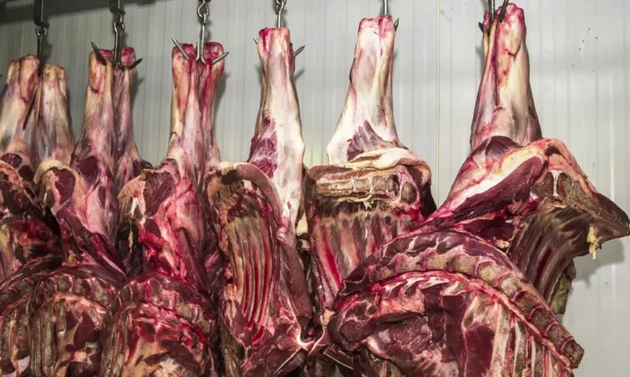 Brasil assume em 2025 a liderança mundial na produção de carne bovina