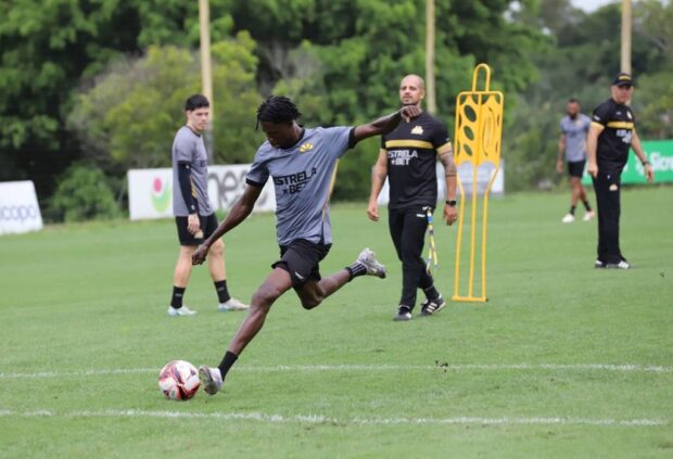 Tigrão início de semana com treinamento técnico e tático